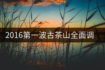 2016第一波古茶山全面調(diào)研第四站——臨滄·大雪山、小戶賽