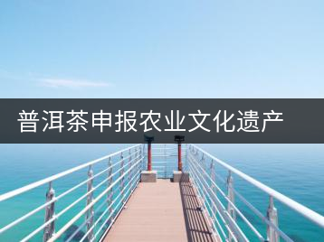 普洱茶申報(bào)農(nóng)業(yè)文化遺產(chǎn) 糧農(nóng)專家赴滇考察