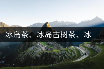 冰島茶、冰島古樹茶、冰島茶區(qū)茶、冰島茶區(qū)古樹茶