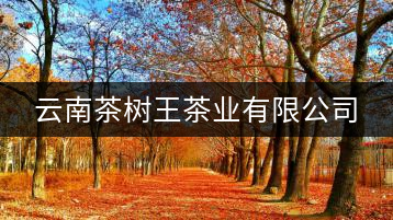 云南茶樹(shù)王茶業(yè)有限公司