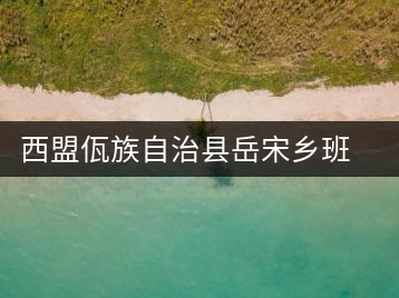 西盟佤族自治縣岳宋鄉(xiāng)班帥村茶廠