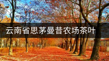 云南省思茅曼昔農(nóng)場茶葉加工廠