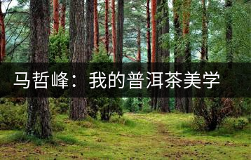 馬哲峰:我的普洱茶美學主義