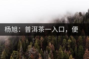 楊旭：普洱茶一入口，便知產(chǎn)地和年份