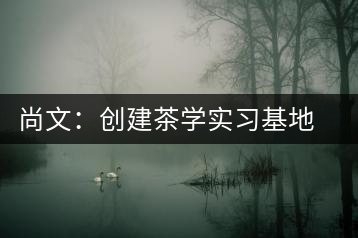 尚文:創(chuàng)建茶學(xué)實(shí)習(xí)基地努力推廣茶文化
