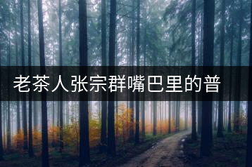 老茶人張宗群嘴巴里的普洱茶地理