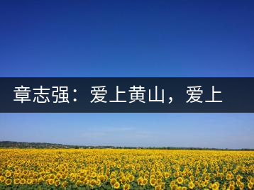 章志強：愛上黃山，愛上黃山的茶