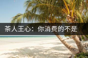 茶人王心：你消費的不是茶，是我