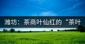 濰坊：茶商葉仙紅的“茶葉經(jīng)”