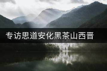 專訪思道安化黑茶山西晉中運營中心總經(jīng)理董欽智