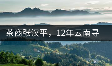 茶商張漢平，12年云南尋茶路