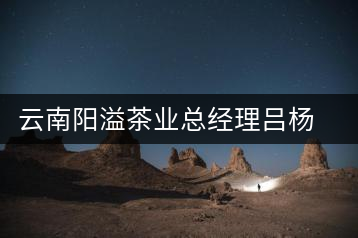 云南陽溢茶業(yè)總經理呂楊陽訪談