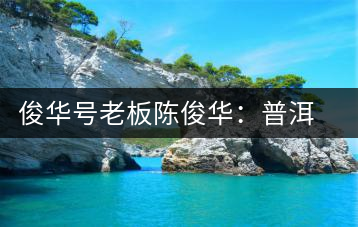 俊華號老板陳俊華:普洱茶人做茶有道