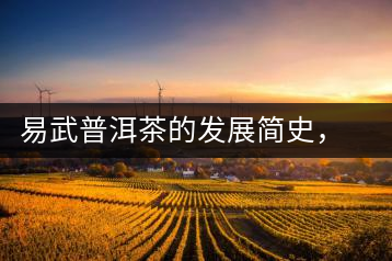 易武普洱茶的發(fā)展簡史，昔日的貢茶如今依然輝煌