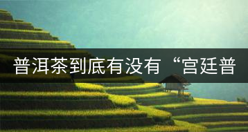 普洱茶到底有沒有“宮廷普洱”一說？它到底是什么？