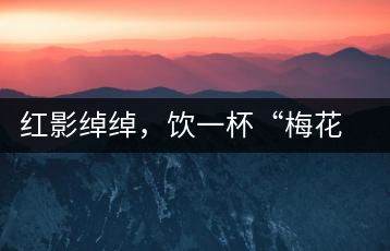 紅影綽綽，飲一杯“梅花”醉