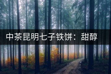 中茶昆明七子鐵餅：甜醇甘潤，陳韻綿長