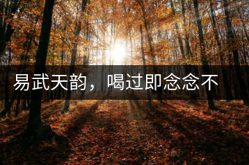 易武天韻，喝過即念念不忘的茶中皇后