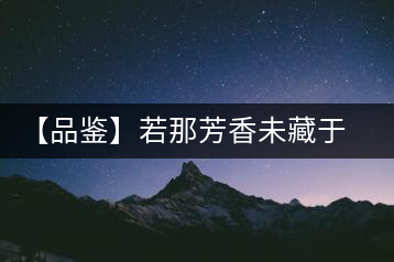 【品鑒】若那芳香未藏于樟野，怎會這般獨具韻味？