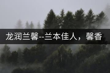 龍潤蘭馨–蘭本佳人，馨香高雅