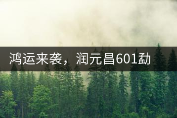 鴻運(yùn)來(lái)襲，潤(rùn)元昌601勐海紅韻熟茶即將上市