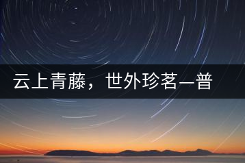 云上青藤，世外珍茗—普秀百年藤條茶即將上市