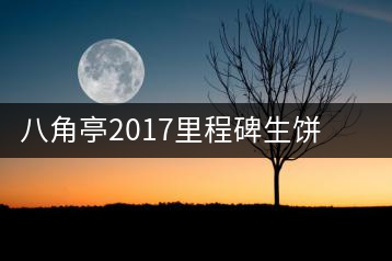 八角亭2017里程碑生餅，擁抱半個世紀的情懷