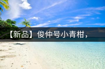 【新品】俊仲號(hào)小青柑，青果來(lái)傾城