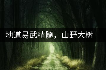 地道易武精髓，山野大樹珍品—普秀易武生態(tài)喬木圓茶即將上市
