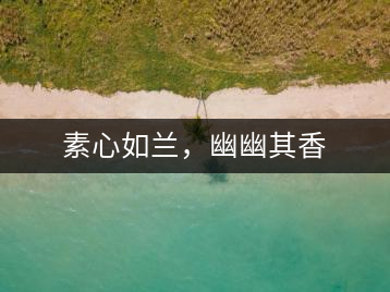 素心如蘭，幽幽其香