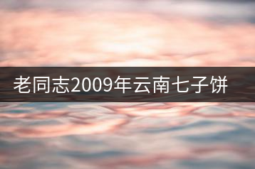 老同志2009年云南七子餅熟茶開湯
