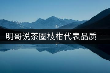 明哥說茶圈枝柑代表品質(zhì)高點(diǎn)，是玩家級的產(chǎn)品