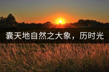 囊天地自然之大象，歷時(shí)光十載流轉(zhuǎn)-皇茶一號(hào)