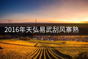 2016年天弘易武刮風寨熟茶一泡耐人尋味！