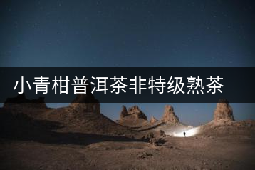 小青柑普洱茶非特級熟茶正宗新會陳皮柑普茶小青桔普茶罐裝茶葉