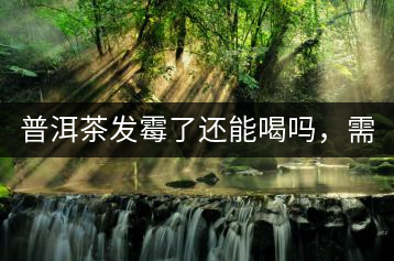 普洱茶發(fā)霉了還能喝嗎，需要怎么處理？