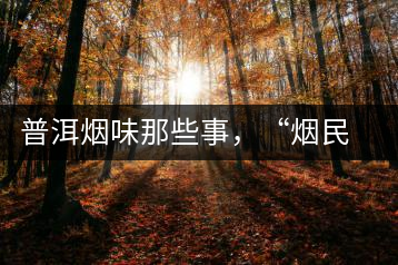 普洱煙味那些事，“煙民”不怕當(dāng)