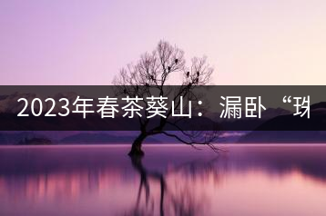 2023年春茶葵山：漏臥“珠江紅：1200元-3200元（有3個檔次）漏臥“大廠茶”：古樹單株8600-9000元／公斤，中樹4800-5200元／公斤，小樹混采2600-2800元／公斤。