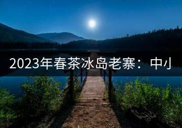 2023年春茶冰島老寨：中小樹混采2500-3000元／公斤，大樹：7000-8000元／公斤，古樹混采：28000-36000元／公斤