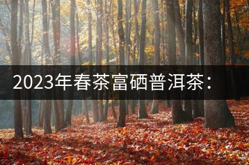 2023年春茶富硒普洱茶：1.富硒有機(jī)手工生普，市場指導(dǎo)價(jià)800元／公斤；2.富硒有機(jī)一級(jí)紅茶，市場指導(dǎo)價(jià)800元／公斤；3.富硒有機(jī)熟普餅，市場指導(dǎo)價(jià)1000元／公斤；4.富硒有機(jī)月光白茶，市場指導(dǎo)價(jià)800元／公斤。