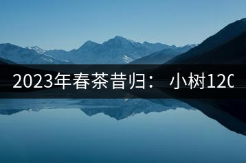 2023年春茶昔歸： 小樹1200-1600元／公斤，大樹4500-5200元／公斤，古樹7500-9000元／公斤.