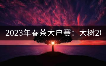 2023年春茶大戶賽：大樹200-300元／公斤，古樹800-1000元／公斤
