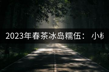 2023年春茶冰島糯伍： 小樹(shù)1300元／公斤，古樹(shù)：2100~2300元／公斤