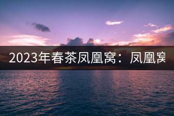 2023年春茶鳳凰窩：鳳凰窩（1號）20000-25000元／公斤；鳳凰窩（2號）2000-3000元／公斤；古樹：3000-5000元／公斤；鳳凰山混采古樹茶1000-2000元／公斤；鳳凰山精選古樹茶3000-5000元／公斤