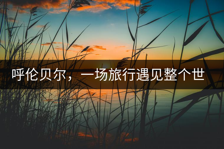 呼倫貝爾,一場旅行遇見整個(gè)世界 呼倫貝爾,一場旅行遇見整個(gè)世界