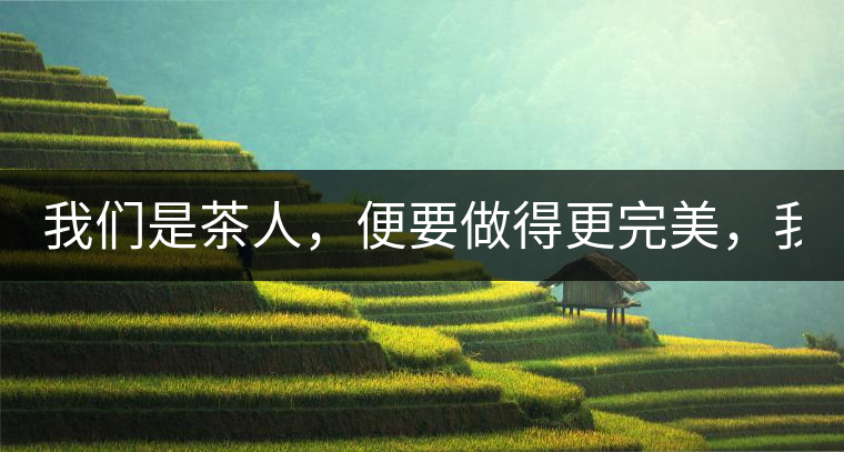 我們是茶人，便要做得更完美，我們是茶客，便要懂得沉默...我們是茶人，便要做得更完美，我們是茶客，便要懂得沉默！