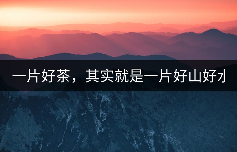 一片好茶，其實就是一片好山好水...一片好茶，其實就是一片好山好水...