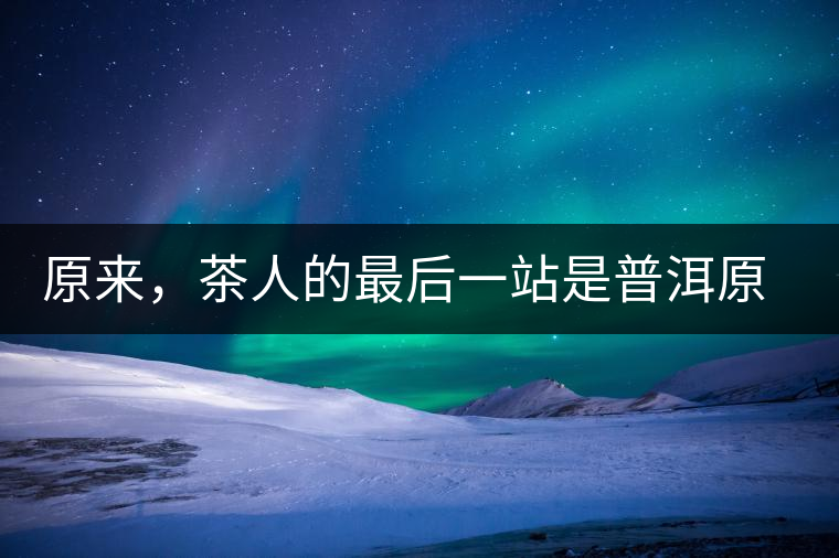 原來，茶人的最后一站是普洱原來，茶人的最后一站是普洱