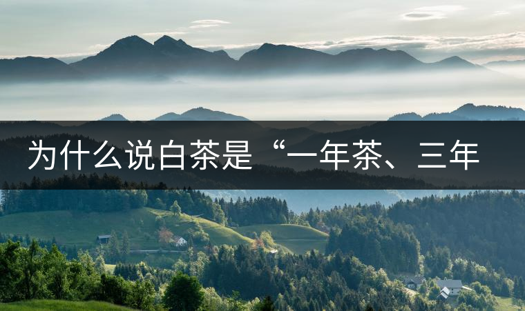 為什么說白茶是“一年茶、三年藥、七年寶”?為什么說白茶是“一年茶、三年藥、七年寶”？