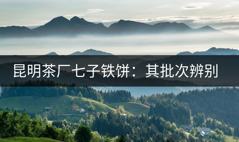 昆明茶廠七子鐵餅：其批次辨別、配方、年份大盤點(diǎn)！